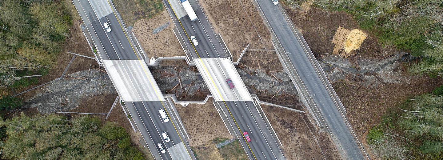 Secret Creek Fish Passage Project Nets Granite $48 Million Contract in Snohomish County, Washington